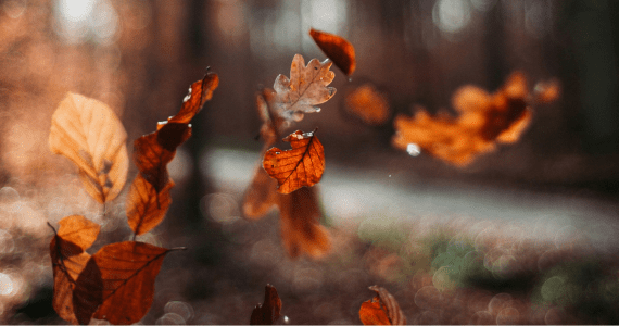 Memory loss, dementia and your money
